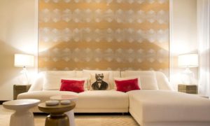 Candeco Refonte Peinture Et Décoration (14) 106